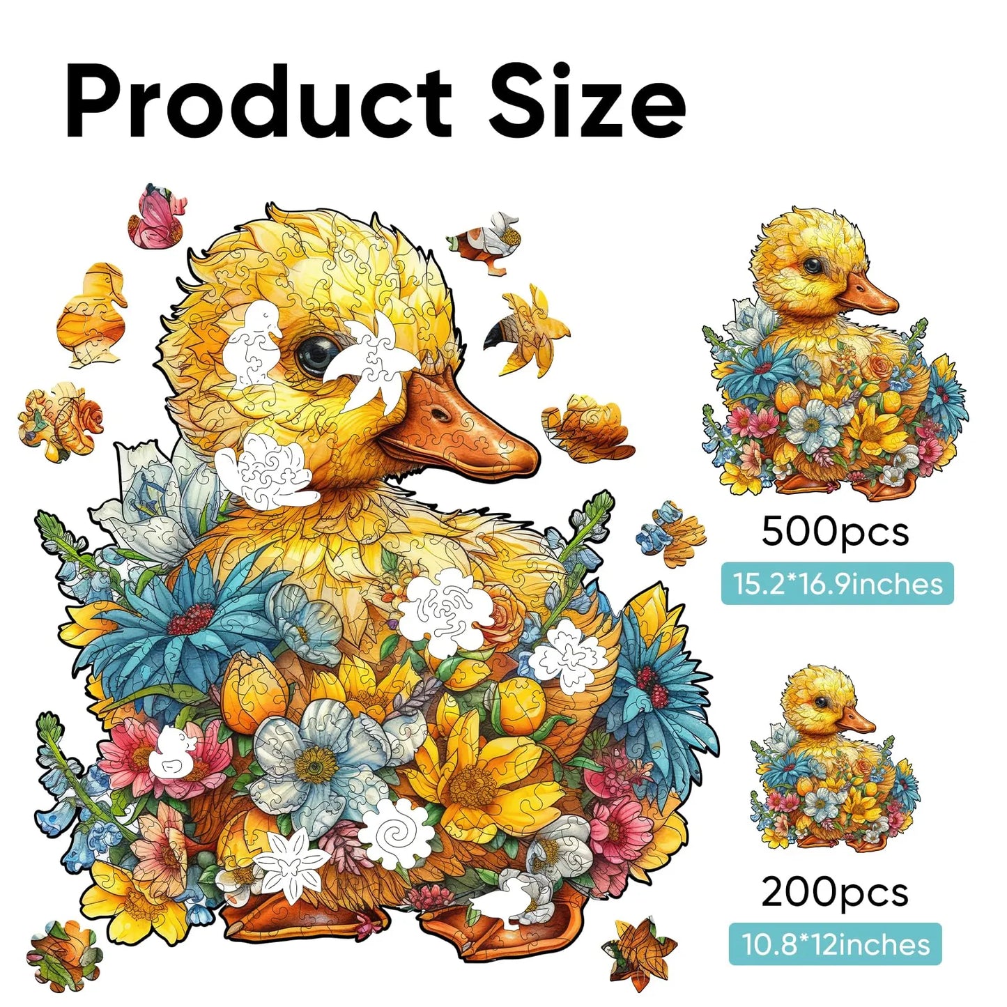 Duck