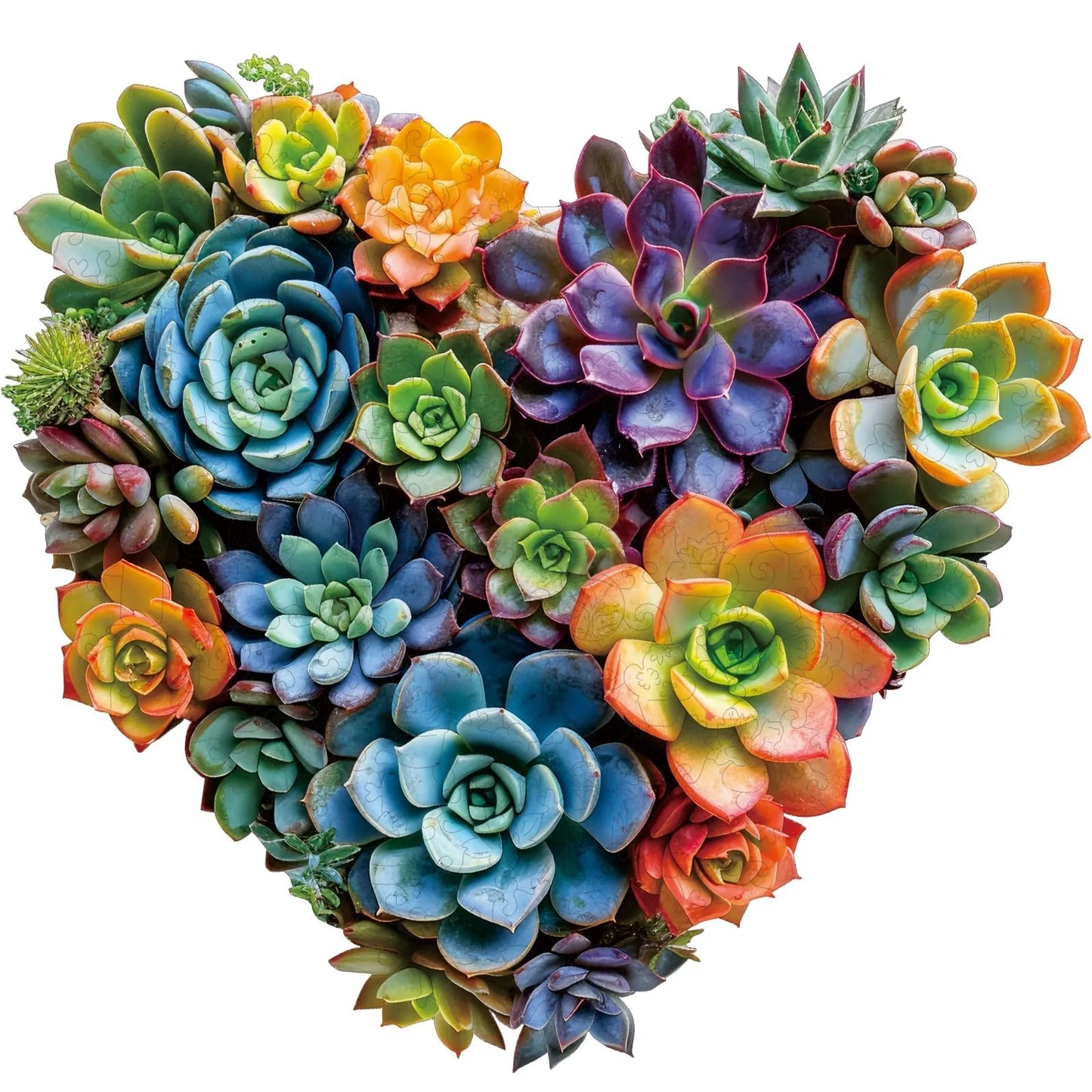 Heart Succulent, Wooden Jigsaw Puzzles