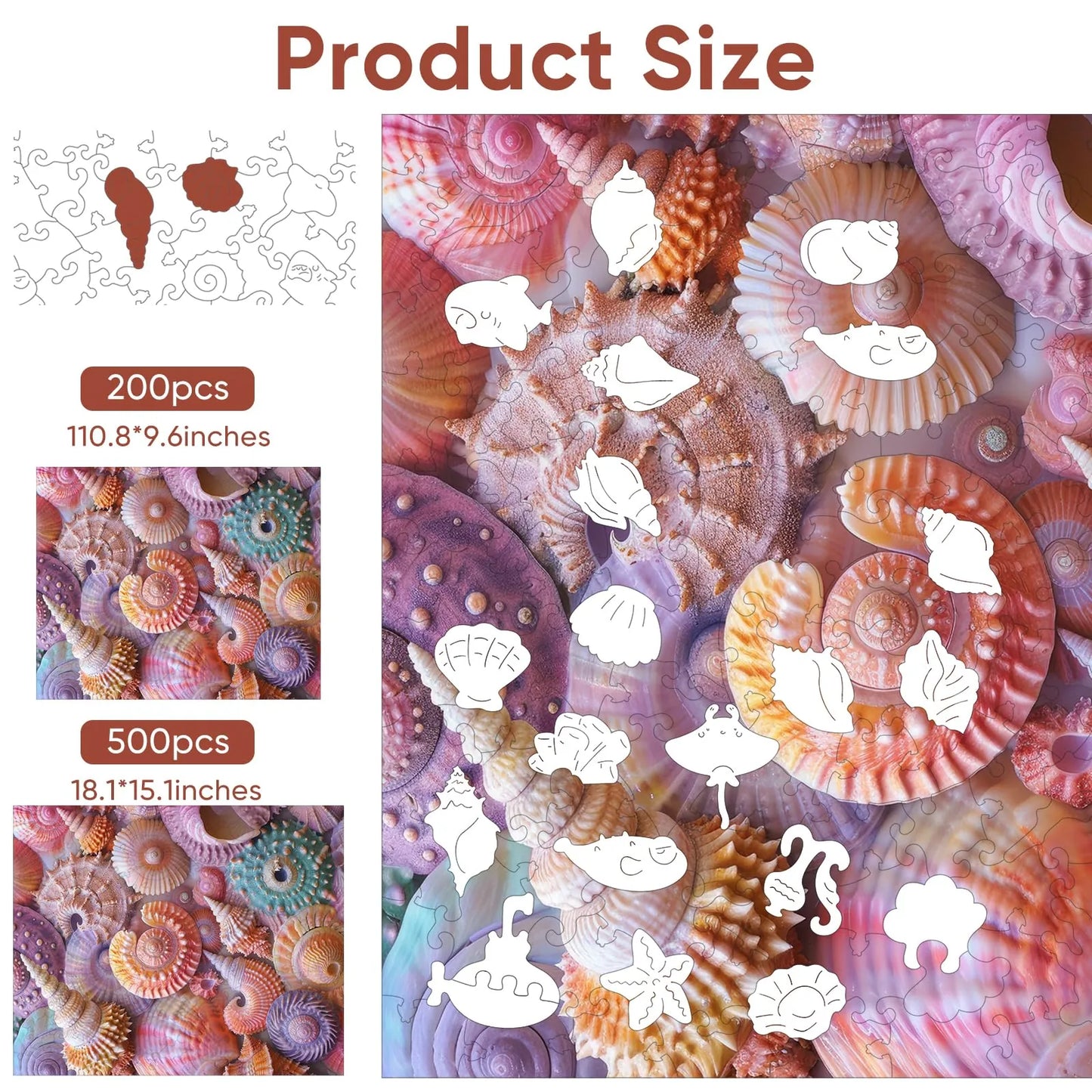 Sea Shell