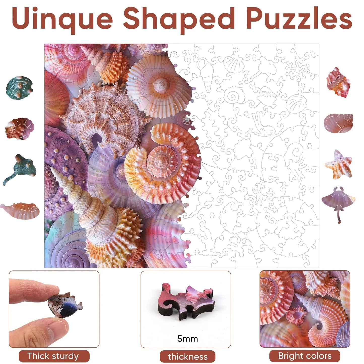 Sea Shell