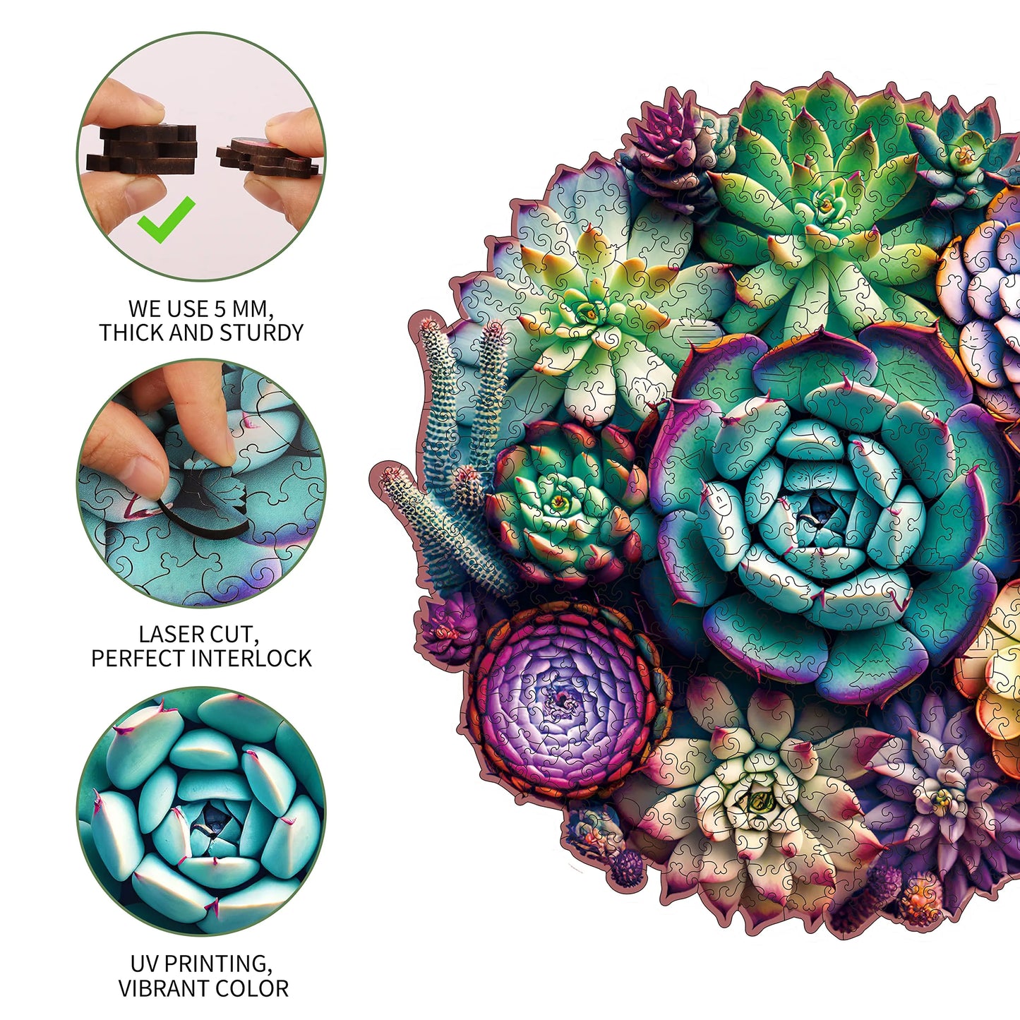 Succulent Plants A, Wooden Jigsaw Puzzles