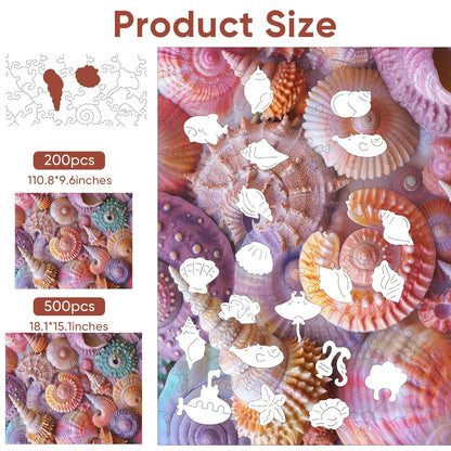 Sea Shell