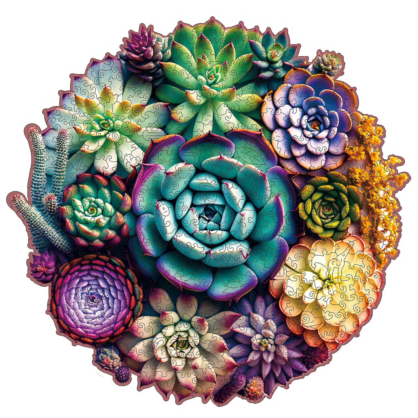 Succulent Plants A, Wooden Jigsaw Puzzles