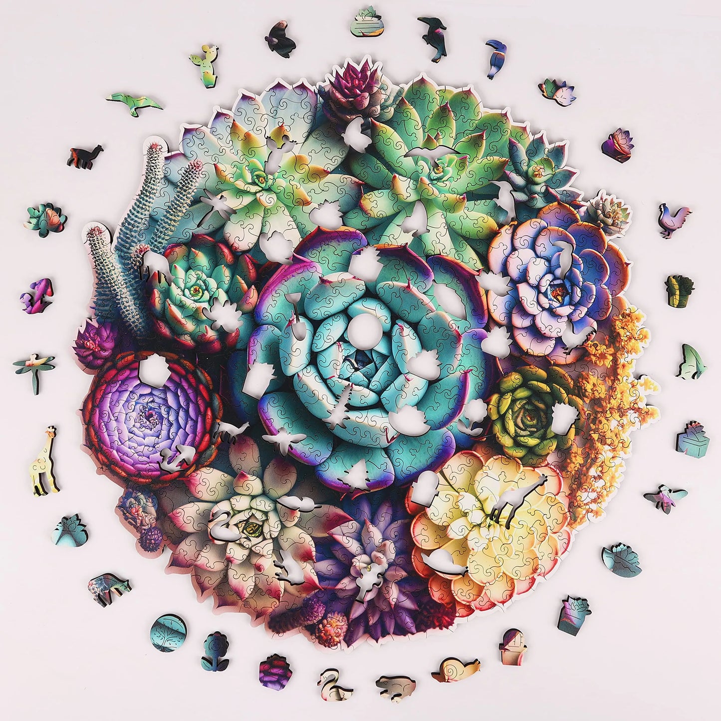 Succulent Plants A, Wooden Jigsaw Puzzles